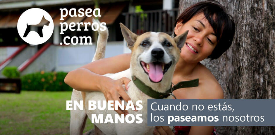 www.paseaperros.com.ar