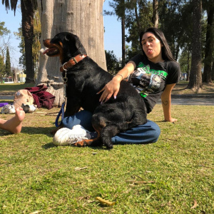 Foto de perfil de Celeste M.
